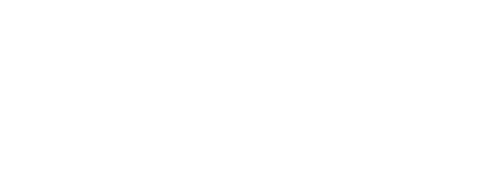 Optinet